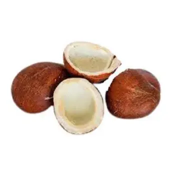 Fresh Dried Coconut